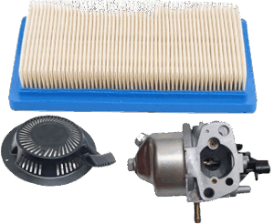 Cortadoras de césped a nafta